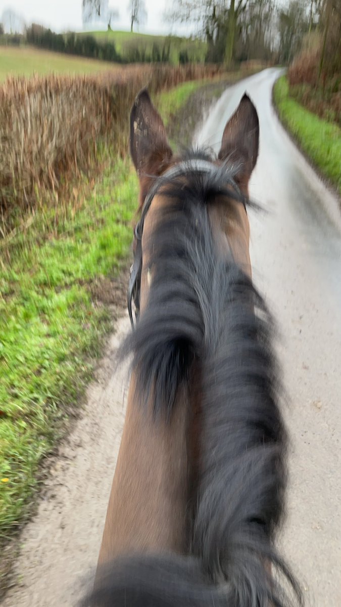 beaubai's tweet photo. Storm warning: issued yesterday prior to his trip to Cheltenham today. Weather experts didn't expect him to strike again so soon #winner #happyhorses #cheltenham #stormcontrol https://t.co/4eegjvyQQY