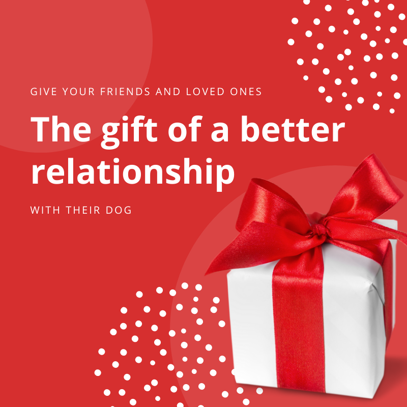 BarkBustersNJ's tweet photo. The Holidays are just around the corner and why not give your friends and loved ones the gift of a better relationship with their dog? Call Bark Busters today! https://t.co/US92JyHbyh