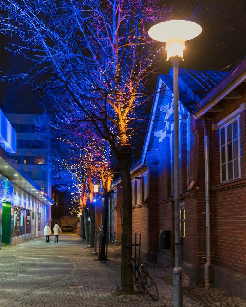 The alley #holidaydecoration #alleyview #streetview #cityview #pic #markethall #colourandlight #lighttothedarkness #trees