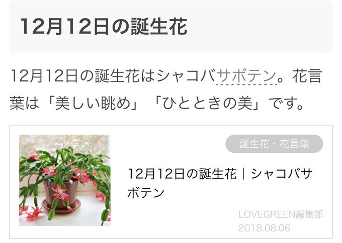 シャコバサボテンのtwitterイラスト検索結果