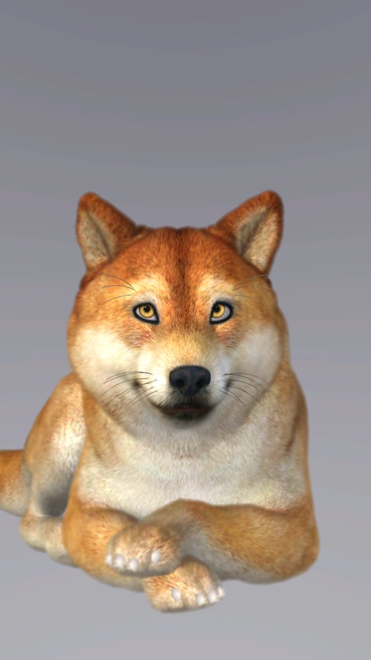 H N 乙香 麗 Animaze とかいうiphoneアプリ Yuzuhiko Blog さん等の動物vtuber が使ってる Facerig ってpcソフトの後継の関連アプリらしいのだけど これ フェイスid に非対応のiphoneでもしっかり顔の表情捉えますね 顔認証技術がアプリに含まれてる