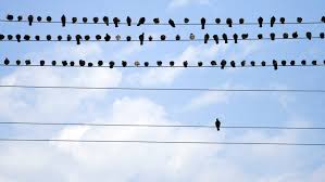 lfreberg's tweet photo. With Whom Do We Spend Our Time? https://t.co/ovHUL7JcB1 https://t.co/y97qtZiF04
