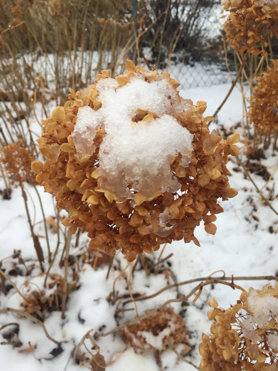 KellyFeehan2's tweet photo. #nebextnature https://t.co/DzzVUJJ2qM