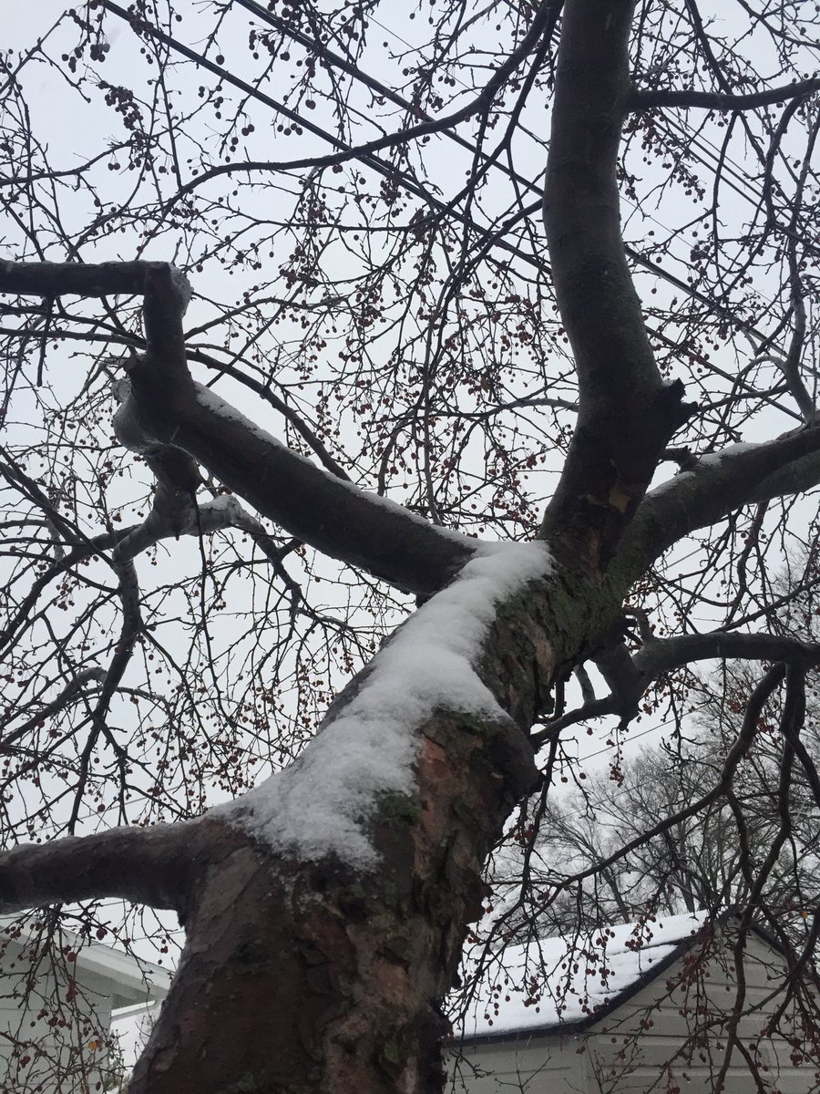 KellyFeehan2's tweet photo. #nebextnature https://t.co/DzzVUJJ2qM