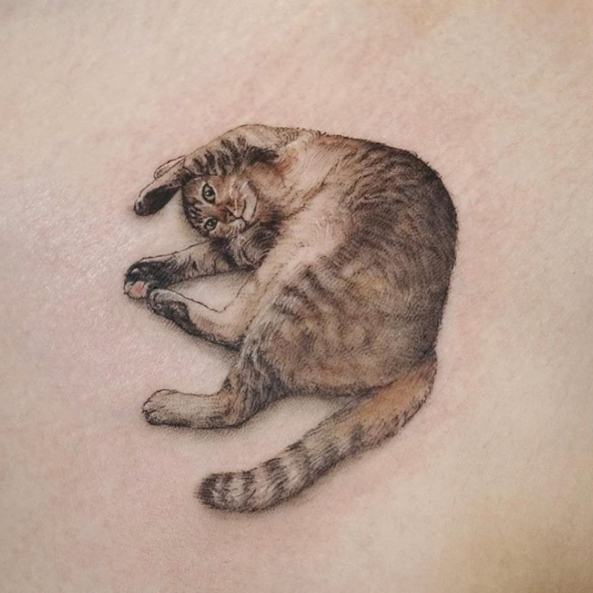 inkstincttattoo's tweet photo. Artist: victoria.tattoohk
Please follow this Incredible Artist!
#art #artist #tatuaje #blackandwhite #draw #drawing #tats #ink #inked #instagood #instagram #inkstinct #love #microblading #picoftheday #realistictattoo #tattoo #tattooart #tattooed #tattoos https://t.co/DOIXVEmWep