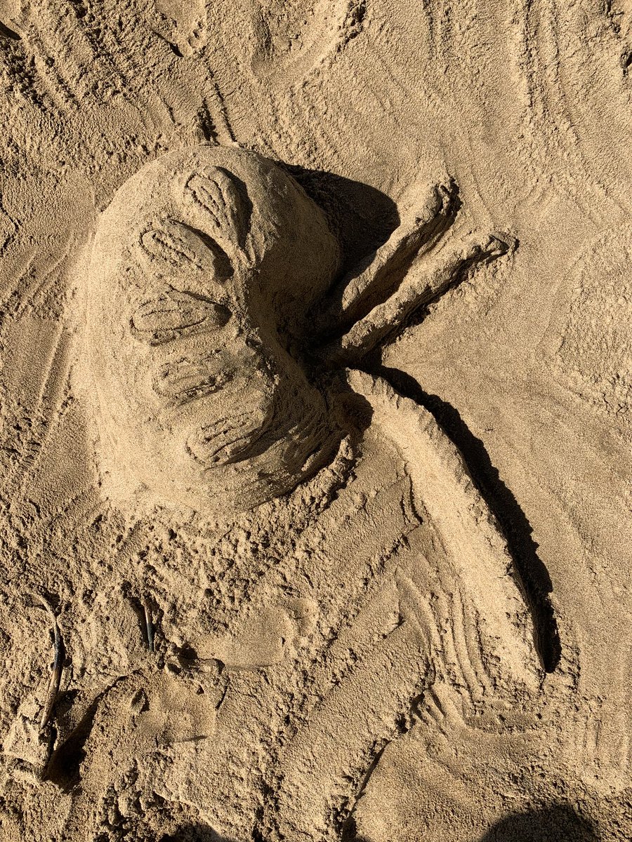 Jenn Kaplan tweet media