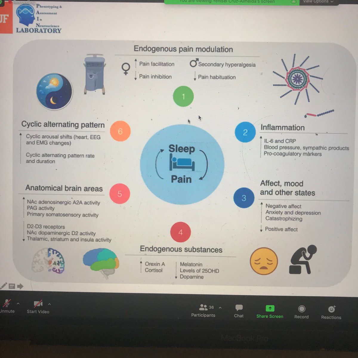 TylerBellPhD's tweet image. Awesome talk from @Yenisel_CruzA on how sleep affects pain and its neural substrates in older adults! #pain #aging #USASP2020 @US_ASP