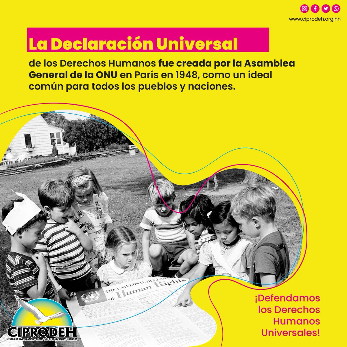ciprodeh1's tweet photo. 📜¿Sabes qué son los Derechos Humanos, cuándo fueron creados y quiénes deben garantizarlos? Te lo contamos aquí. 👇
#DerechosHumanos #DefendamosLosDerechosHumanosUniversales 
#Ciprodeh https://t.co/28aqAZ8djc