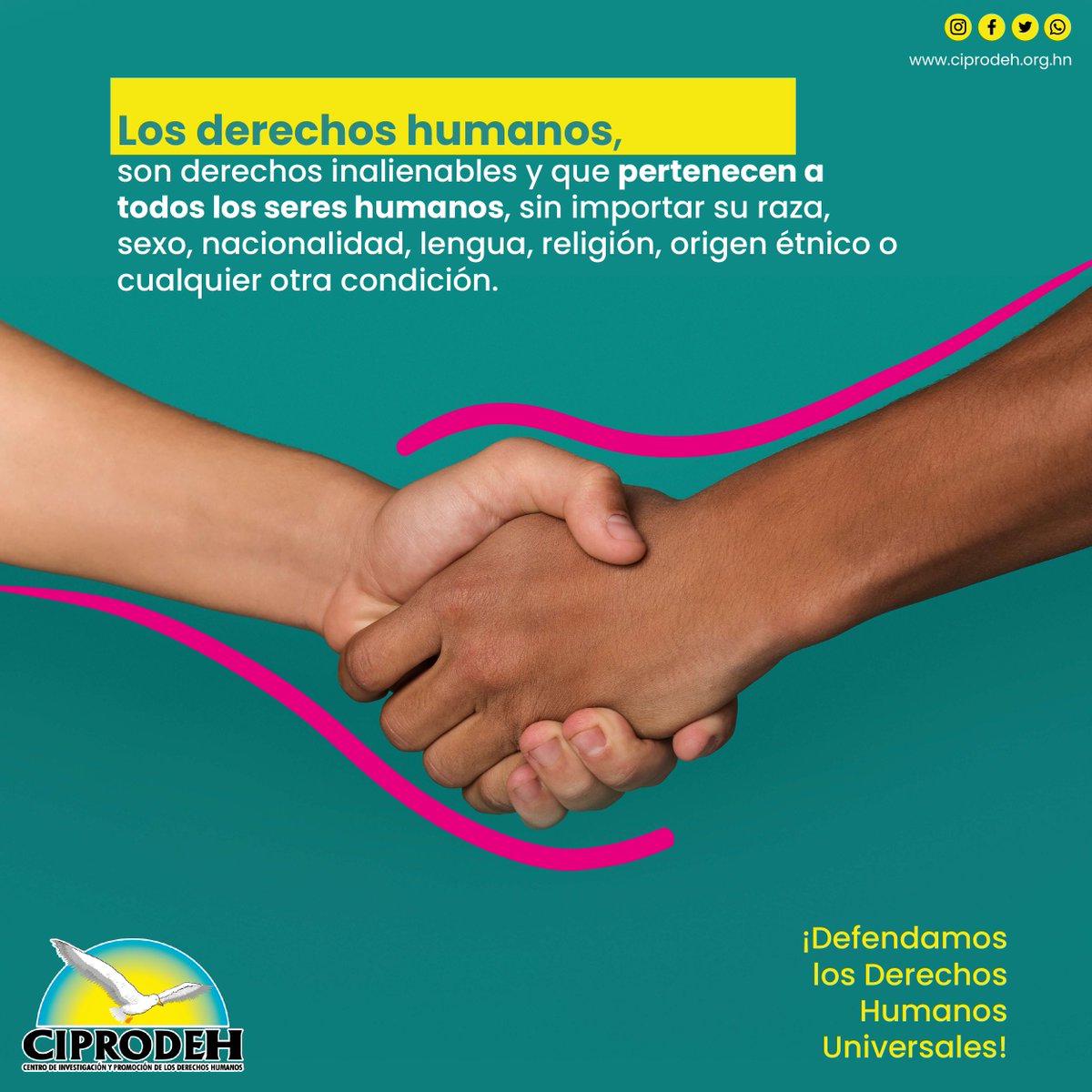 ciprodeh1's tweet photo. 📜¿Sabes qué son los Derechos Humanos, cuándo fueron creados y quiénes deben garantizarlos? Te lo contamos aquí. 👇
#DerechosHumanos #DefendamosLosDerechosHumanosUniversales 
#Ciprodeh https://t.co/28aqAZ8djc