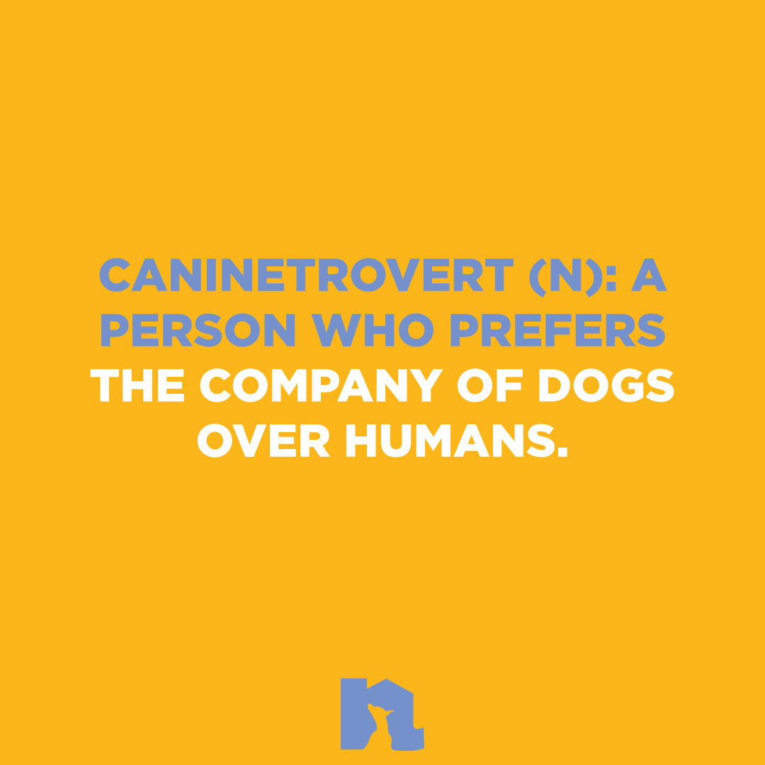 planetdoglife's tweet photo. ๐ ๐พWho else can relate???
#dogsovereverything #dogoftheday https://t.co/uI3Oyyto1V