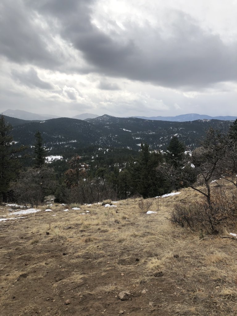 _SamStrength's tweet image. Colorado was amazing; Mountains are definitely my favorite landscapes. Hiking them makes it even better