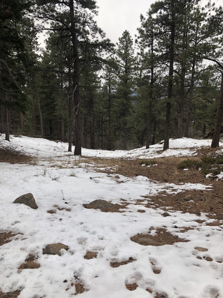 _SamStrength's tweet image. Colorado was amazing; Mountains are definitely my favorite landscapes. Hiking them makes it even better