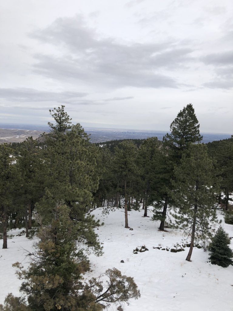 _SamStrength's tweet image. Colorado was amazing; Mountains are definitely my favorite landscapes. Hiking them makes it even better