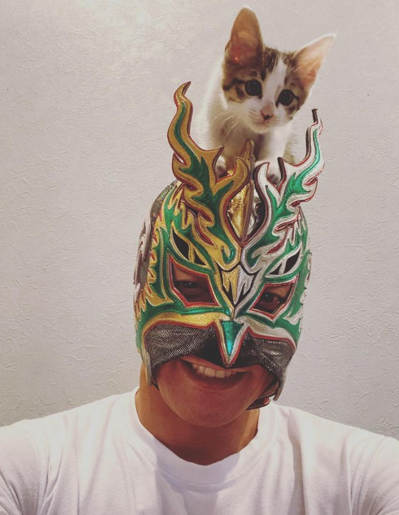 Dragon Kid- at first I thought he was 15- BOYO HE WAS BORN IN '76- onita didn't let him wrestle bcs he smol- some of his moves' names are...christian- and i was like confused- THEN I FOUND OUT HIS NICKNAME IS CHILD OF GOD- bruh- modeled for uniqlo- dedicated cat dad