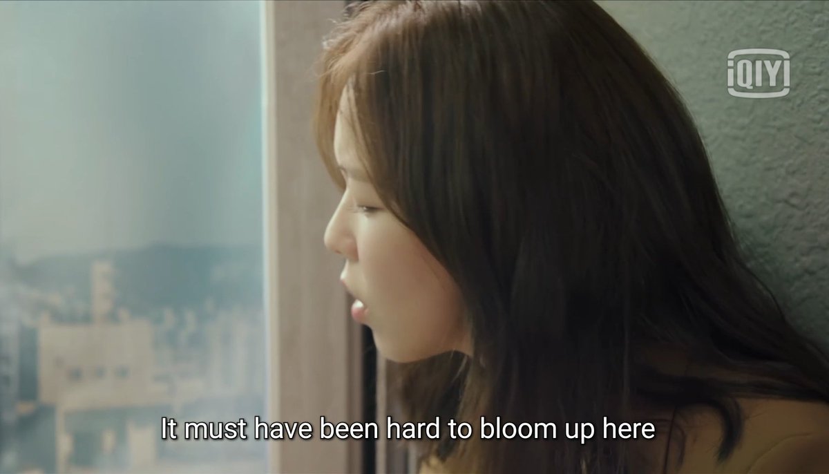 I love the sisterhood. Semoga kalian mampu menghadapi badai yg dibuat penulis seiring episode ya. Lucu banget sampek bunga liar dinamain.   #Hush  #HushEp1