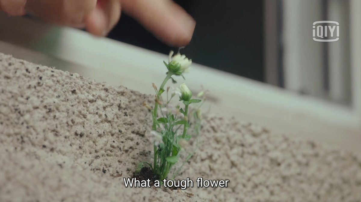 I love the sisterhood. Semoga kalian mampu menghadapi badai yg dibuat penulis seiring episode ya. Lucu banget sampek bunga liar dinamain.   #Hush  #HushEp1