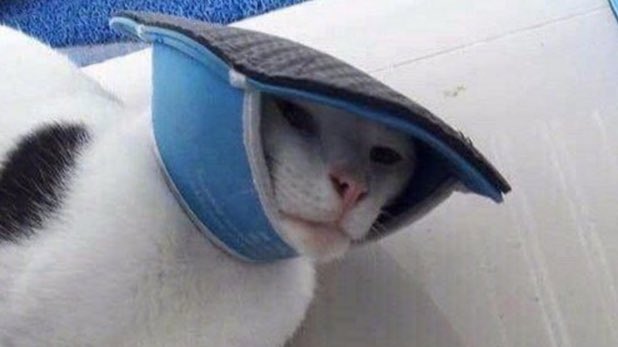 Tell Cersei. I want her to know it was me.