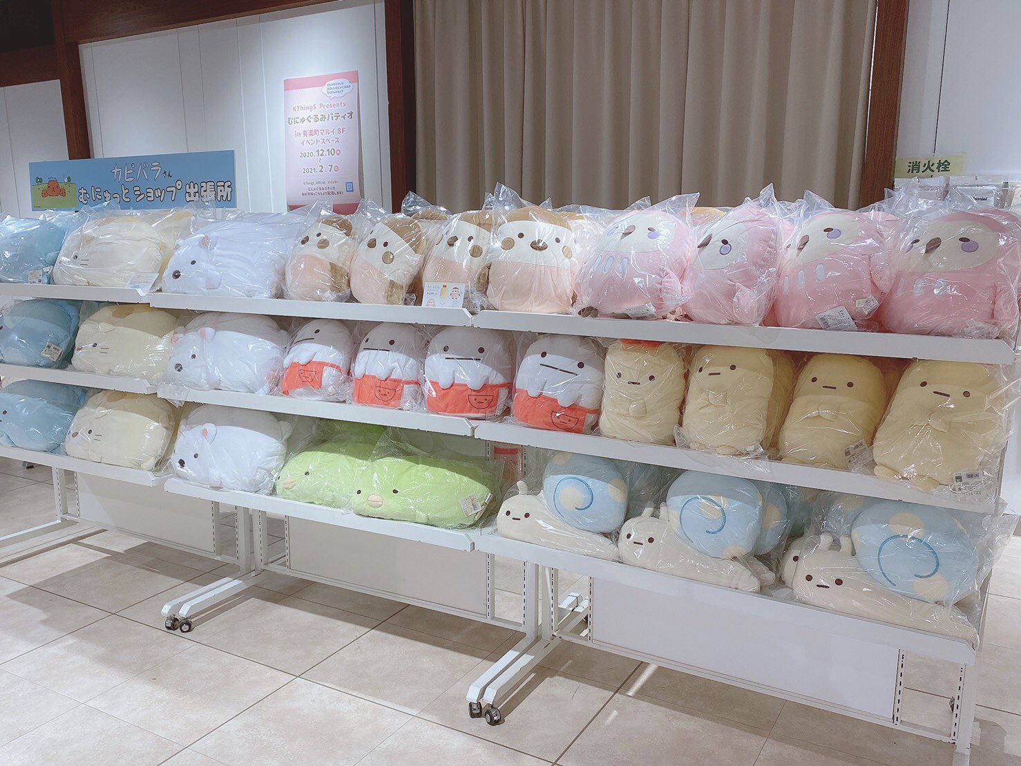 Kthings Official むにゅぐるみパティオ 有楽町店では ビッグぬいぐるみたちが皆様をお出迎え 店頭に在庫があれば 当日お持ち帰りも可能です サンリオはもちろん すみっコぐらしやカピバラさんのコーナーも たくさんの むにゅぐるみ が揃ってい Kthings Official むにゅぐるみパティオ 有楽町店では ビッグぬいぐるみたちが皆様をお出迎え 店頭に在庫があれば 当日お持ち帰りも可能です サンリオはもちろん すみっコぐらしやカピバラさんのコーナーも たくさんの むにゅぐるみ が揃ってい