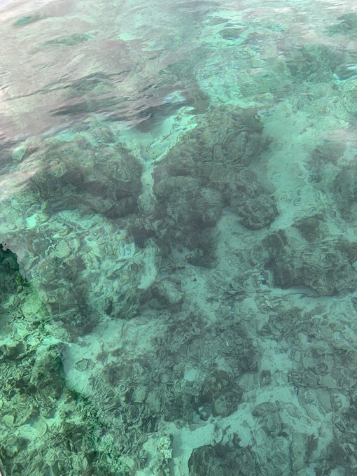 綺麗な海のtwitterイラスト検索結果