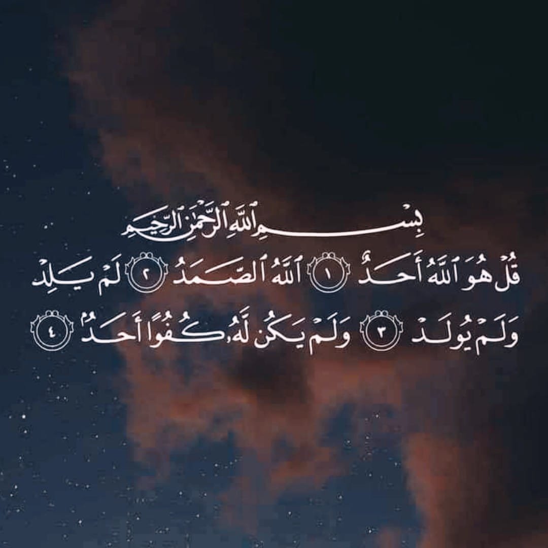 ypzx1's tweet photo. #زانيتي
رتويت لعلها تشفع لك ❤ https://t.co/4U40tLd4EH