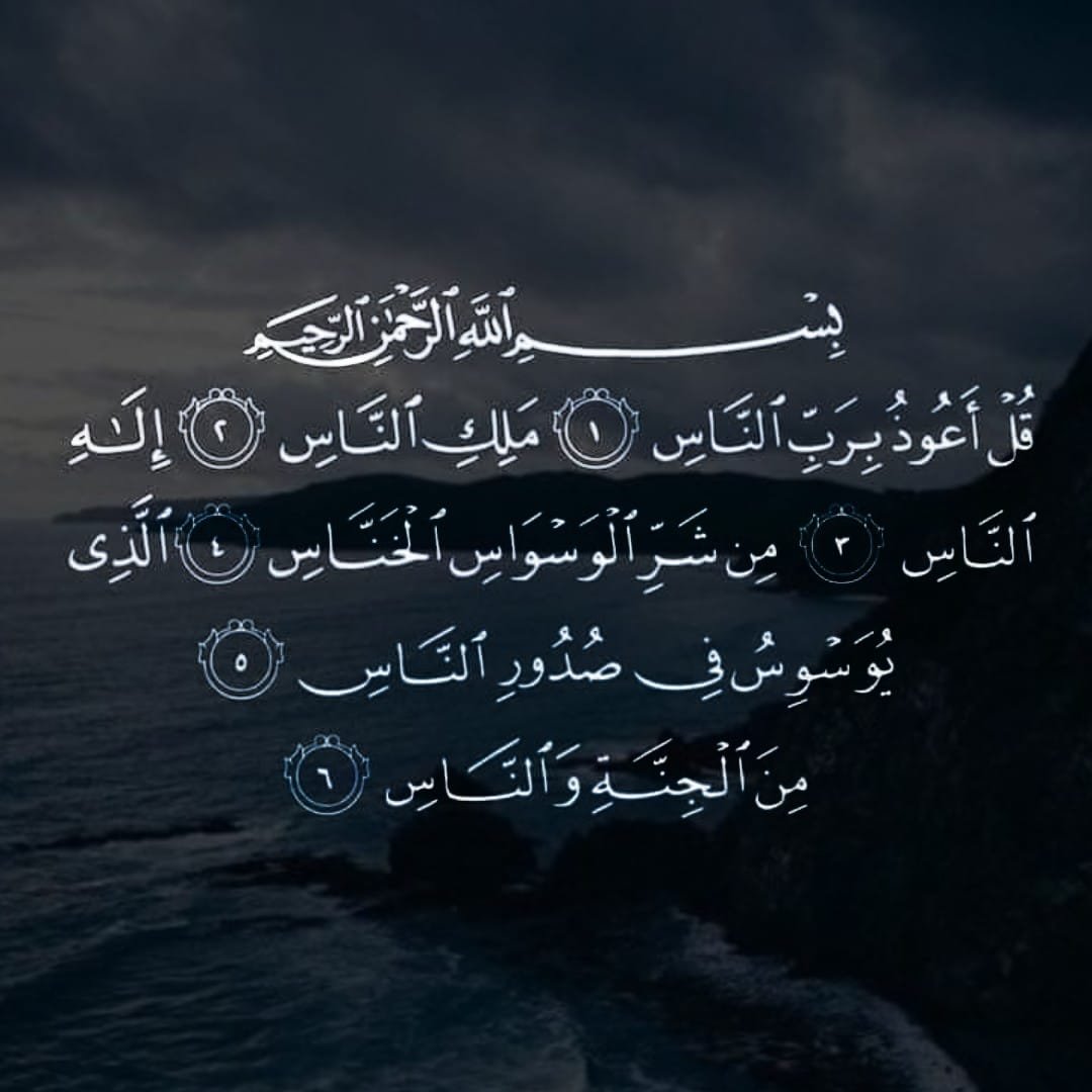 ypzx1's tweet photo. #زانيتي
رتويت لعلها تشفع لك ❤ https://t.co/4U40tLd4EH