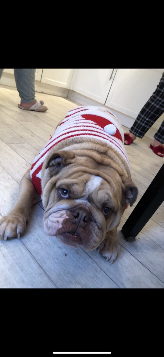 Briittany97's tweet photo. Newest addition to the soon to be Tomlinson/Carr household🥰 https://t.co/hUT3K4njTJ