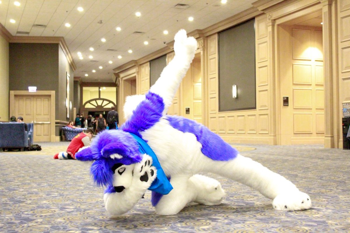 JhuskyDuh's tweet image. Some amazing times!! #MFFMemories #MFF2020