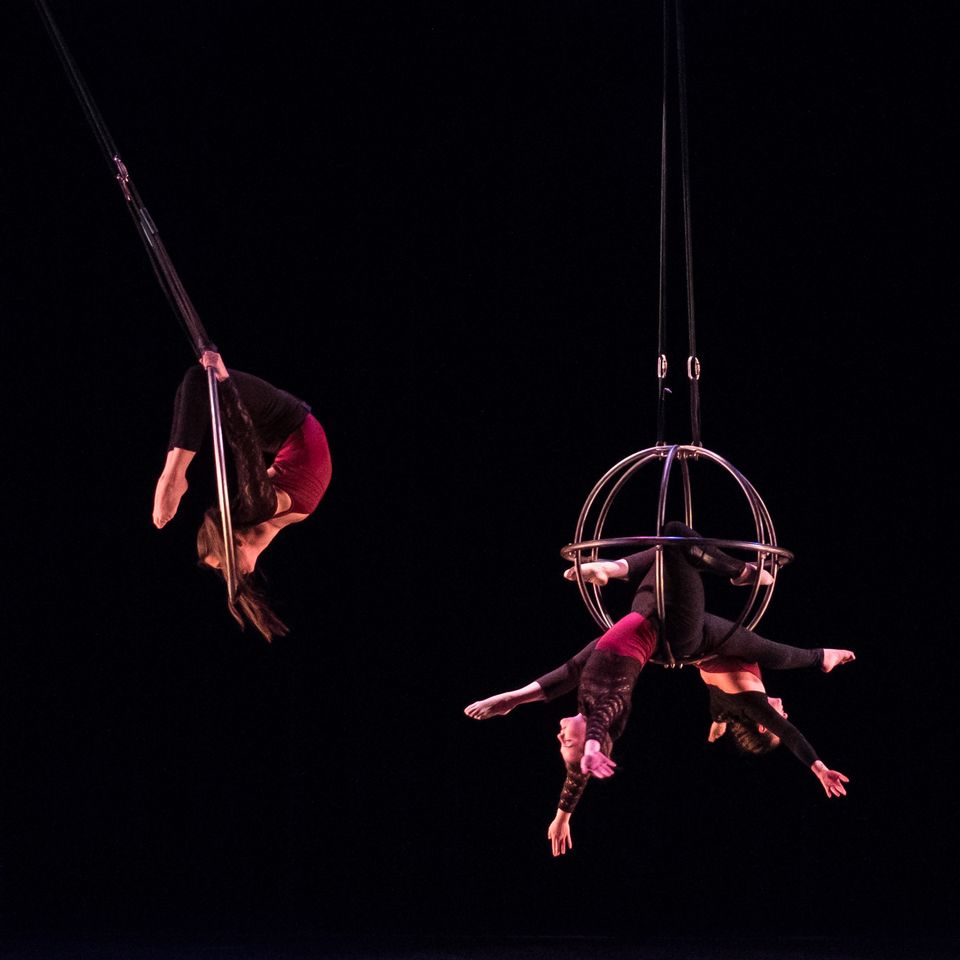 NEAarts's tweet photo. Frequent Flyers Aerial Dance has been performing and teaching for over 30 years in Colorado. 

@freqflyers received a grant from @NEAArts to support personnel and facilities costs in response to the COVID-19 pandemic. See what's going on: https://t.co/5LnTRg8lXM https://t.co/E7gyVP7RP2