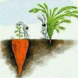 Cardanojacob's tweet image. Cardano Vs Ethereum

#Cardano $Ada #Ethereum