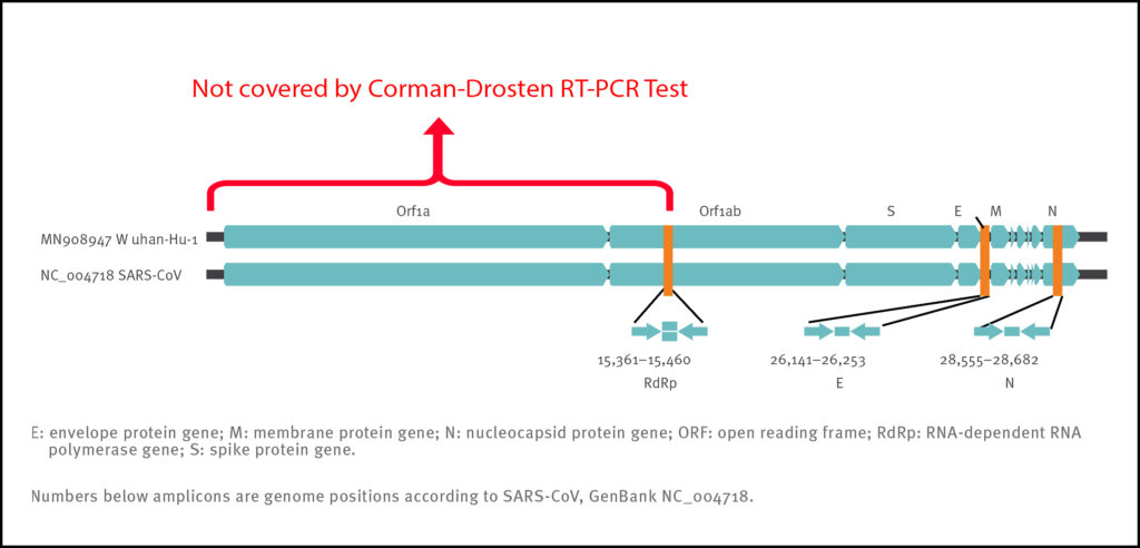 "As it stands, the N gene assay is regrettably neither proposed in the WHO-recommendation (Figure 1) as a mandatory and crucial third confirmatory step, nor is it emphasized in the Corman-Drosten paper as important optional reassurance “for a routine workflow” (Table 2)."