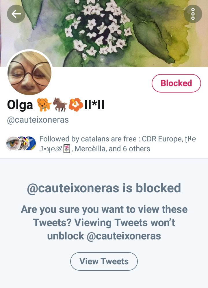 d_policia's tweet photo. Sorry,@cauteixoneras la Boja. We here at the English Po Po have standards.We believe in science &amp; democracy.Not Covid denying &amp; trump loving.
You wouldn't need to be looking for more followers if you had not alienated the ones you already had.

We haven't ⛔ V💩x yet, but u crazy https://t.co/WKAgvH4IpB