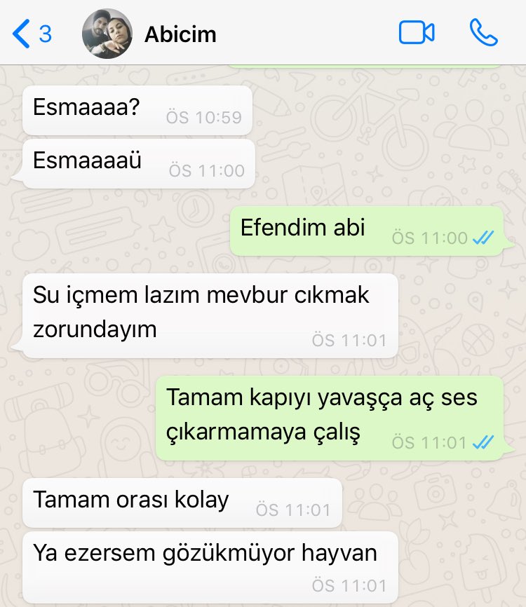 Evde kedi vardır: