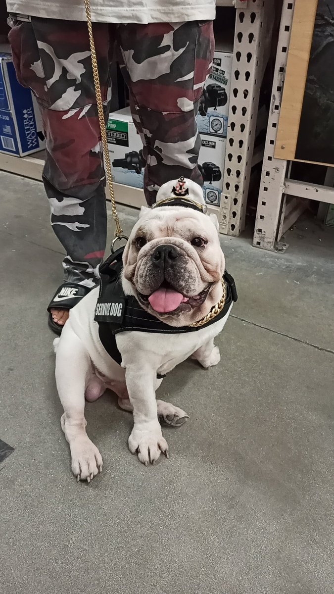 HomeDepotDogs's tweet photo. MIREN SU SOMBRERITOOOOOO 🥺🥺🥺🥺🥺🥺🥺🥺😍😍😍😍😍 https://t.co/GDt3YKWJu4
