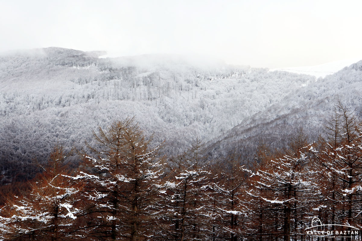 valledebaztan_'s tweet photo. 2020-12-04 Artesiaga gaur atsaldean, elurre 800 metrotik goiti. / Primera nevada importante de la temporada, aunque menos de lo esperado (Artesiaga).

https://t.co/aoQWdQuCSd https://t.co/tGbpaKi9ow
