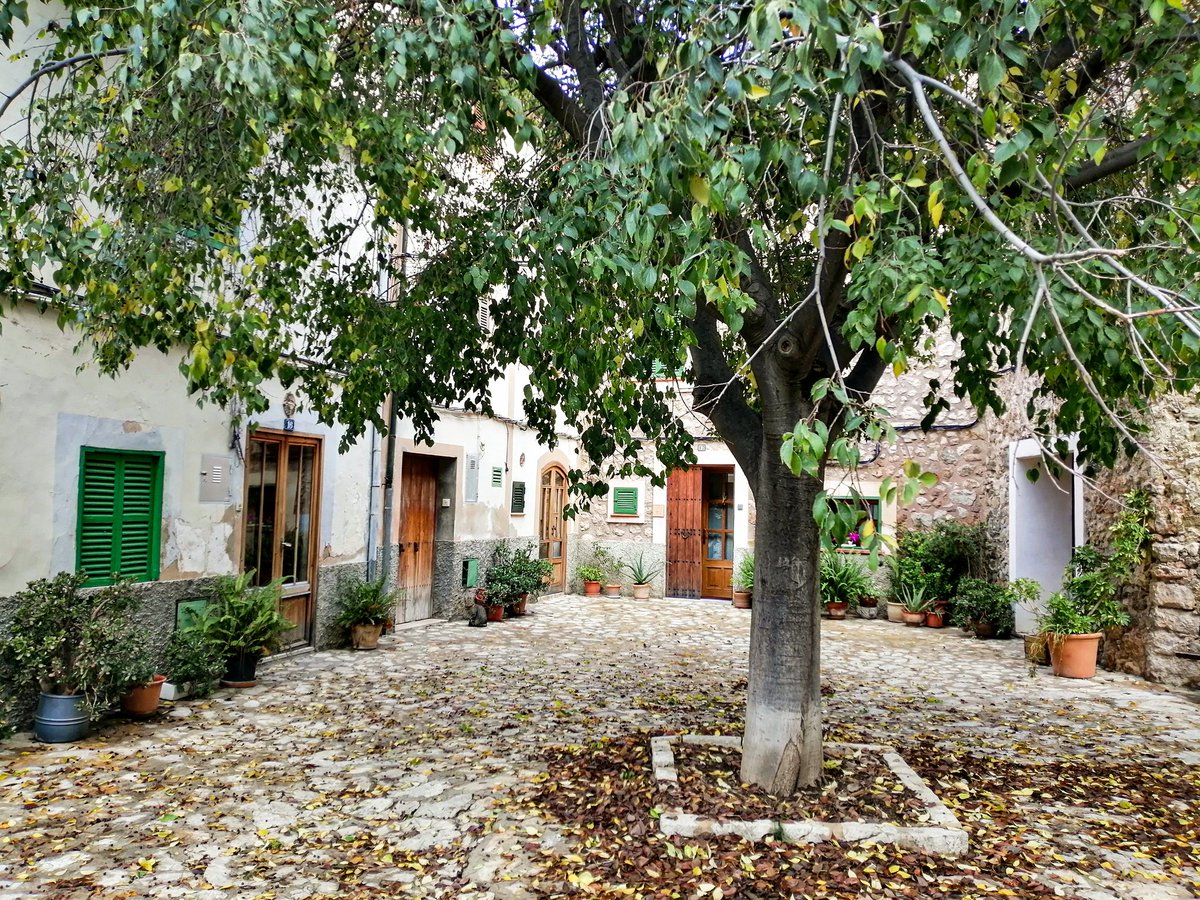 Sa plaça d'es meu barri és sa més guapa de Mallorca 😋