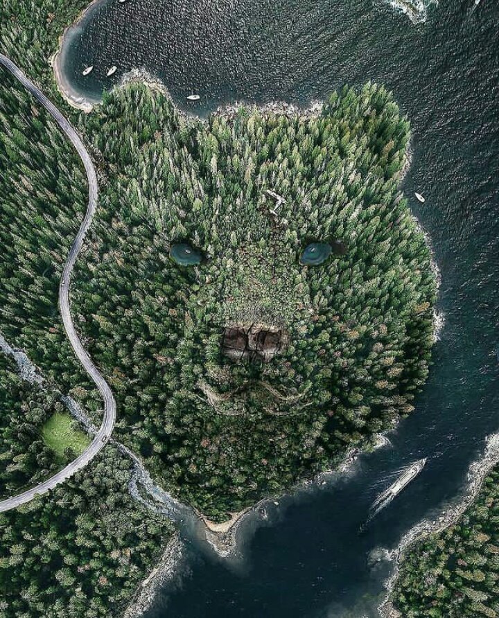EarthCivilize tweet picture