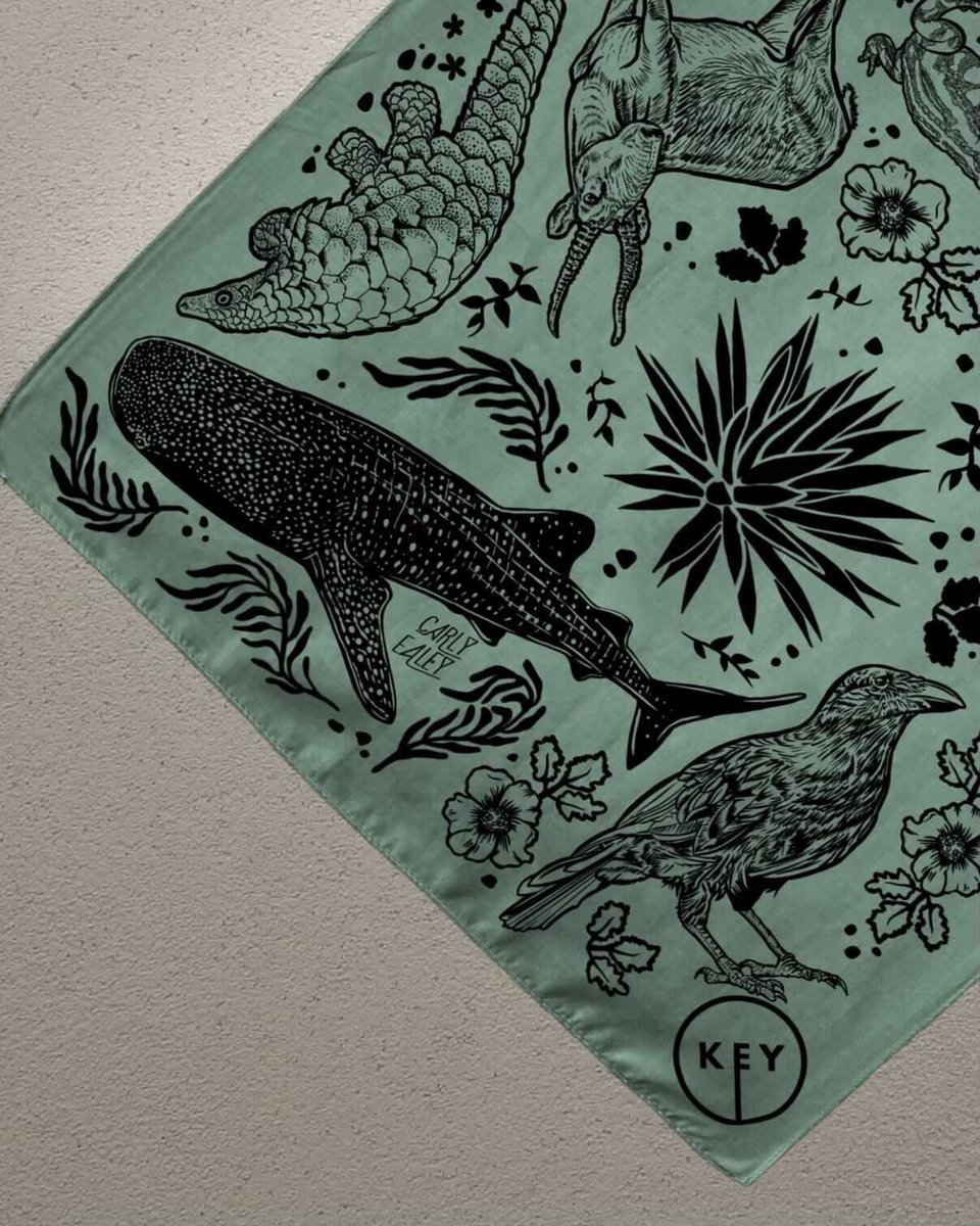 MeganCromp's tweet photo. Wish you could look super fly😎in an endangered species bandana while also supporting conservation efforts? We’ve got you covered! Grab one for yourself and your pets on our crowdfunding campaign here: https://t.co/bz4OwjYZwe Designed by:@carlyealey PS: can you guess the species? https://t.co/i7vHfEKxWw