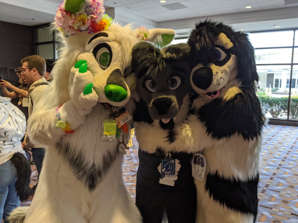 wakewolfasl's tweet image. Happy #FursuitsFriday and #MFF2019 #mff2020! I miss MFF so much, looking forward for next year! 💙