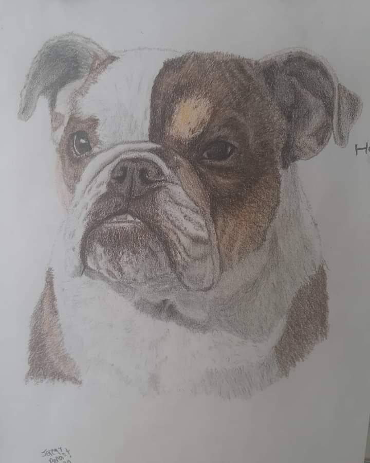pencil_by's tweet photo. Meet Hemi. Cute pup. Color pencil.#dogstagram #painting #doggo #petdrawing #dogartist #dogillustration #pencilart #puppyart #furryart #dogsinhats #furry #dogdrawings #dogsofflorida #dogsdogsdogs #dogsofcharlotte #dogsoginstagram #dogsofhalloween #dogsoflasvegas #dogsuniverse https://t.co/eR3FwhOuXX