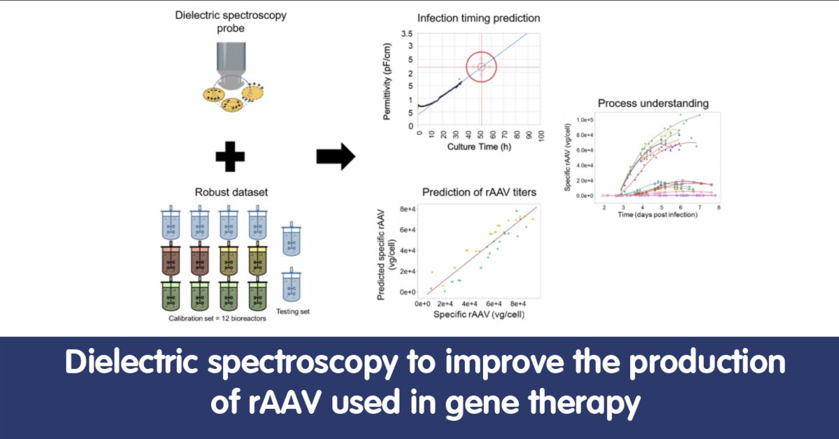 ibetportugal's tweet image. 📘Application of dielectric spectroscopy to monitor rAAV production @VoyagerTx 👉bit.ly/39HrIgs
#ProcessAnalyticalTechnology #genetherapy #mdpiprocesses #AAV