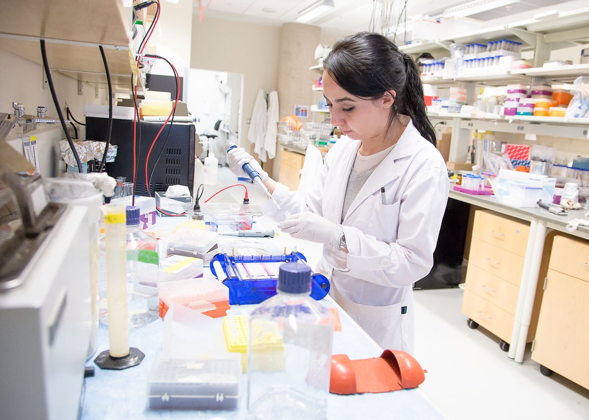 Business events, which bring expertise, ideas and people from around the world, allow the development of connections, spur innovation and lead to investment in key sectors across Canada fallsmeetings.com/why-niagara-fa…