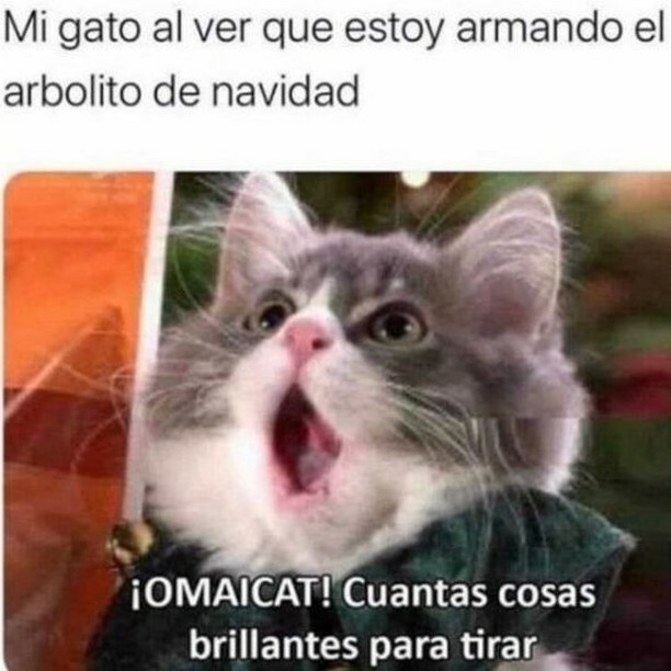 Menciona a tu amig@ 😂😂😂😂😂😂 👉https://t.co/kgzJzyFnXG👈
#maracayextrema #maracay #aragua #venezuela #humor #meme #dia #risa #chiste #usa
#argentina #chile #mexico #panama #peru #españa #miami
#venezolanos #venezolanosenelmundo #venezolanosenelexter… https://t.co/Y8RQ5EBtR2 https://t.co/FTI7vglnPg