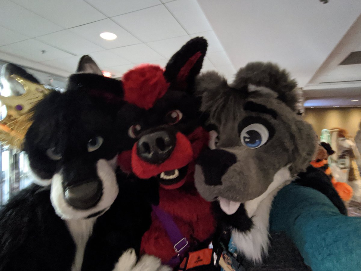 wakewolfasl's tweet image. Happy #FursuitsFriday and #MFF2019 #mff2020! I miss MFF so much, looking forward for next year! 💙