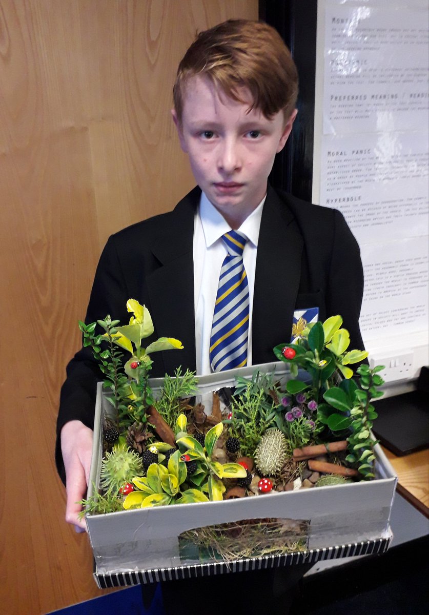 SalgueroMrs's tweet photo. Some incredible creative homework projects based on A Midsummer Night's Dream by my Y7s! @WalesEnglish @WalesHigh2025 #shoutoutfriday https://t.co/zs4cYfRUzC