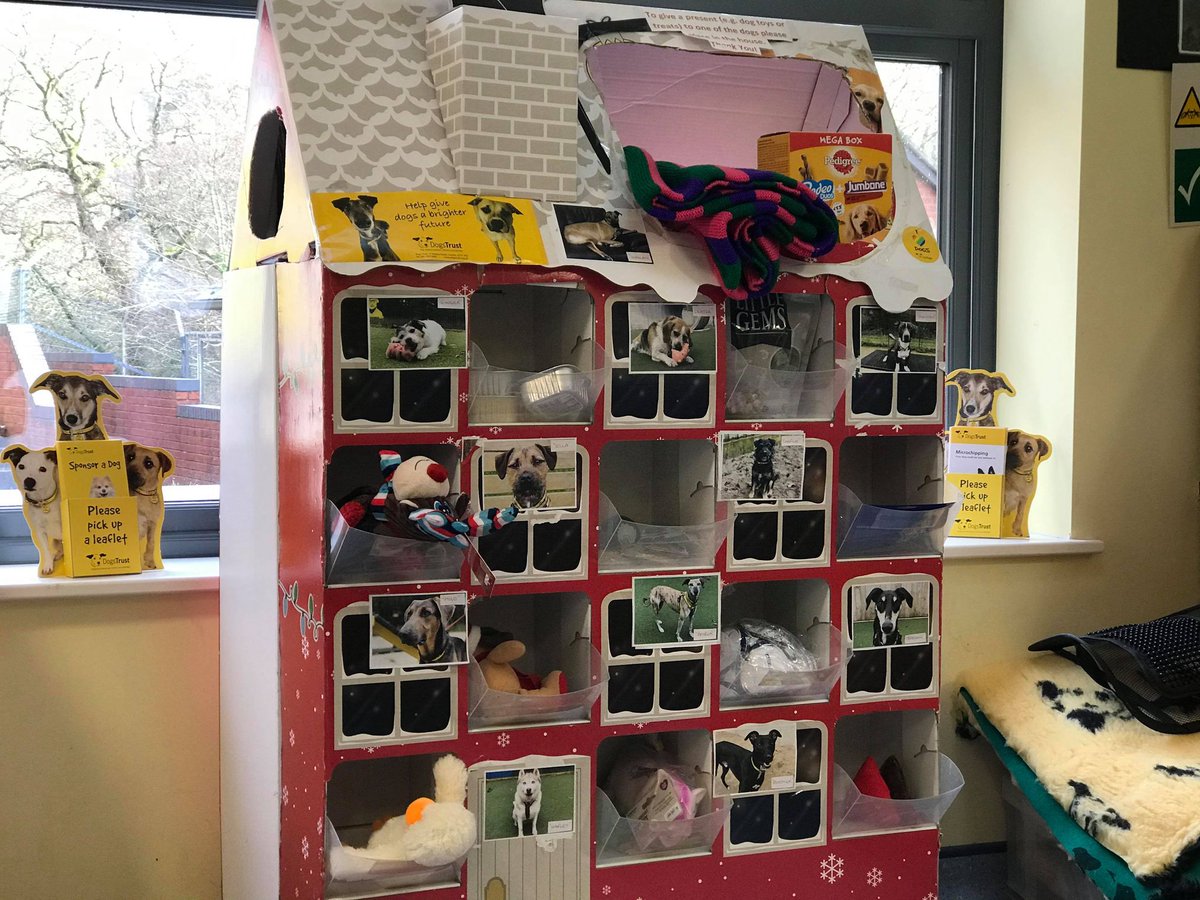 DT_Ilfracombe's tweet photo. Just time to pop into reception - and the Christmas gift house is up! There are already a few toys and treats in there for some dogs. If you would like to give a gift as well, please visit our Amazon wishlist https://t.co/5x03H3fArF #festivepaws @DogsTrust #Ilfracombe https://t.co/eDFMuYXqgC