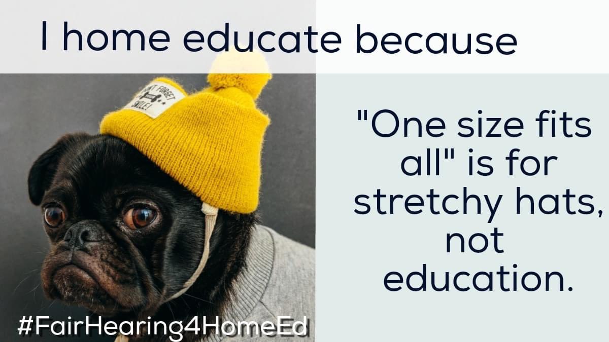 Helenlinford7's tweet photo. #FairHearing4HomeEd https://t.co/DGnAS6Z5Iu