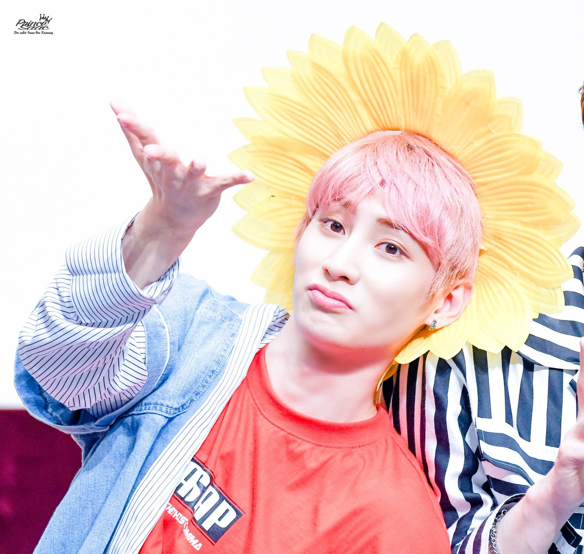 how to make your twitter pink: a short thread