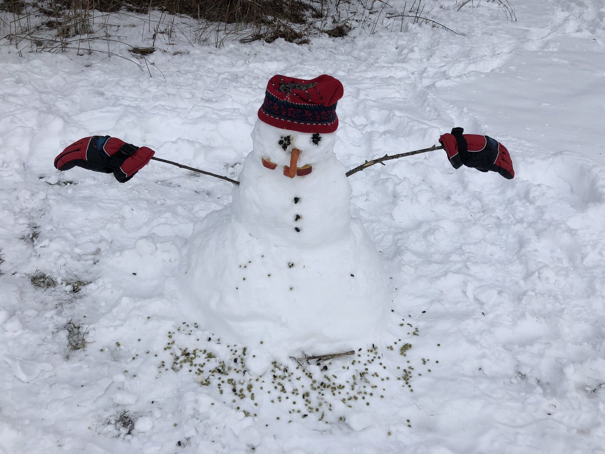 My colleagues helped me build a snowman with a Kindie online class. That’s our job! 😁 Based on the book “Stranger in the Woods”. Connecting with nature. Contact us to do the same. #peelconnected #peelfc #winterfun