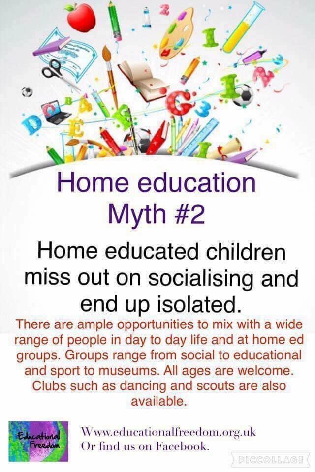 Educational Freedom tweet media