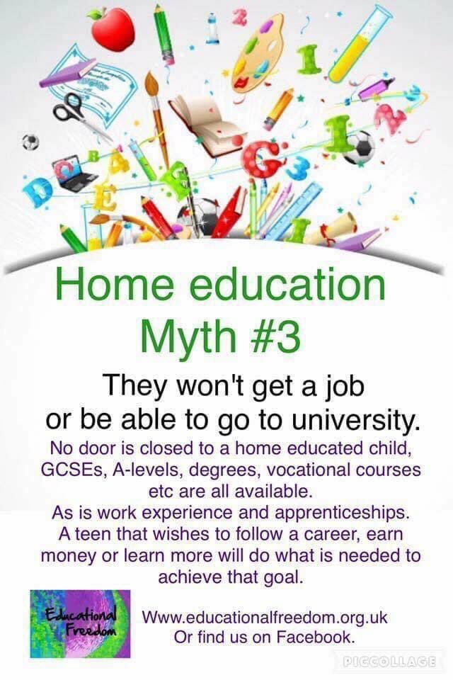 Educational Freedom tweet media